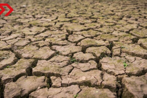 La adaptación a la sequía es una estrategia clave en las políticas públicas para enfrentar los riesgos derivados del cambio climático.